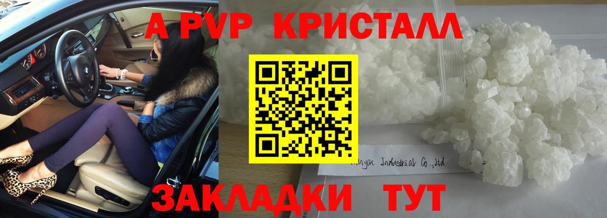 Альфа ПВП СК КРИС Элиста