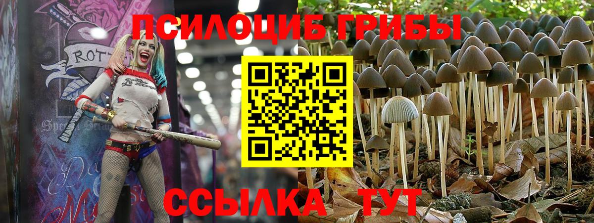 Псилоцибиновые грибы Magic Shrooms Элиста